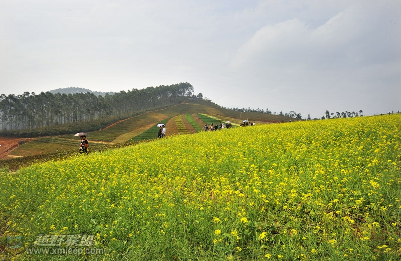_WJ12189.jpg