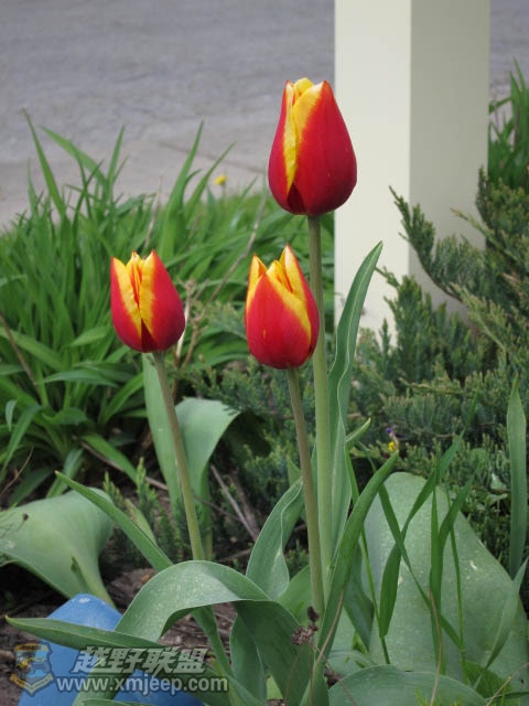 20120428-0024.jpg