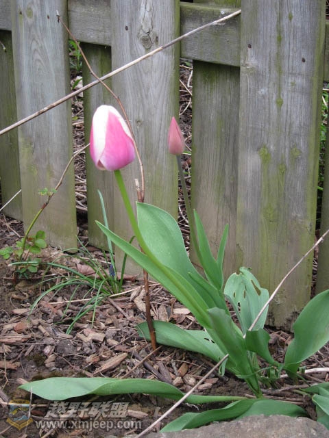 20120428-0022.jpg