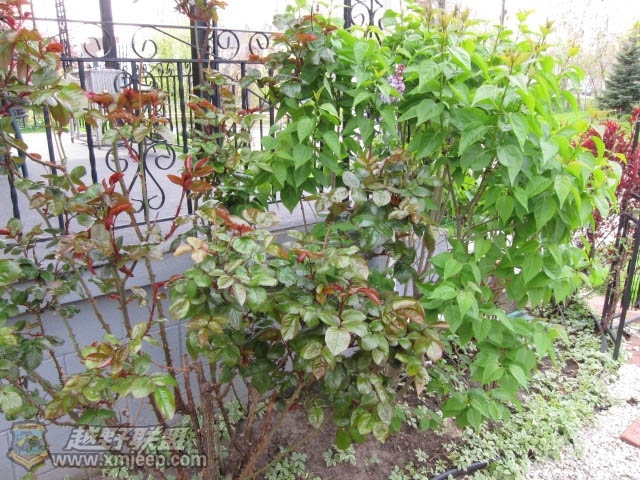 20120428-0017.jpg