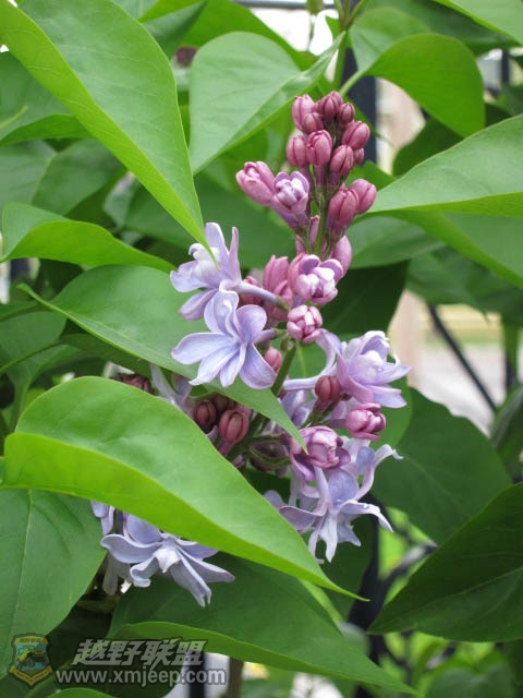 20120428-0016.jpg