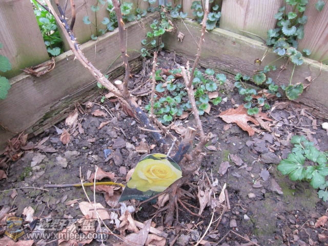 20120428-0018.jpg