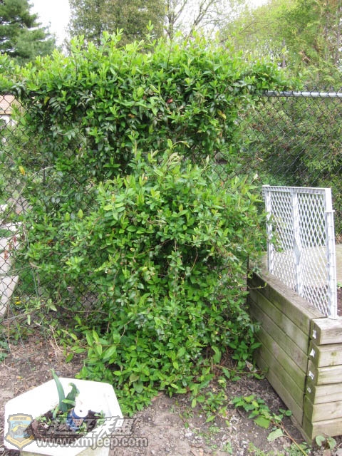 20120428-0006.jpg