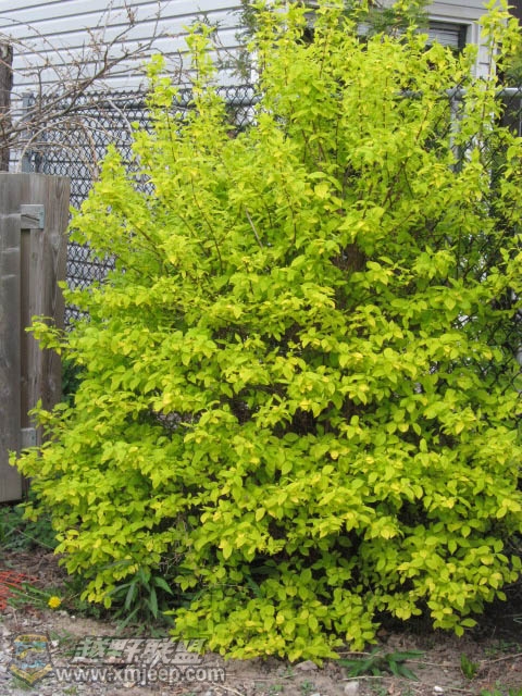 20120428-0007.jpg
