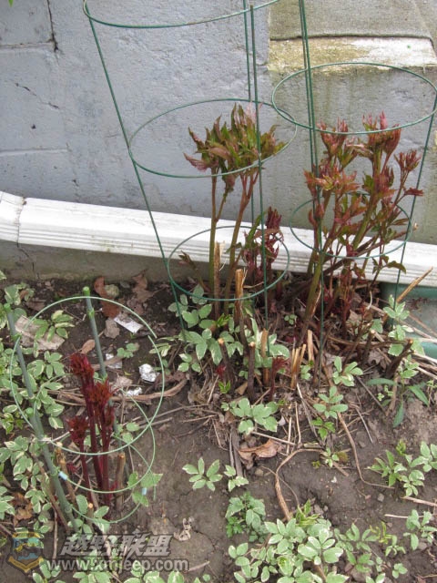 20120428-0013.jpg
