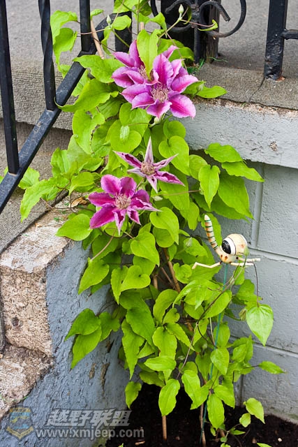 20120526-0008.jpg