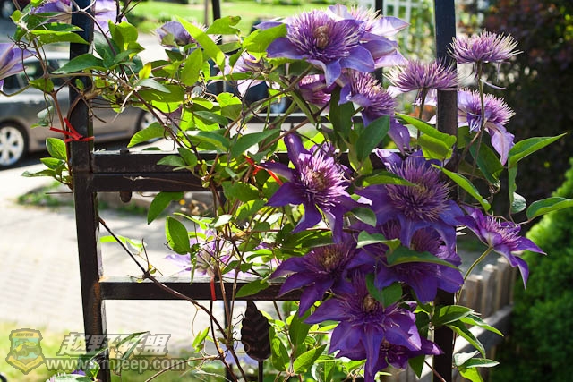 20120526-0012.jpg