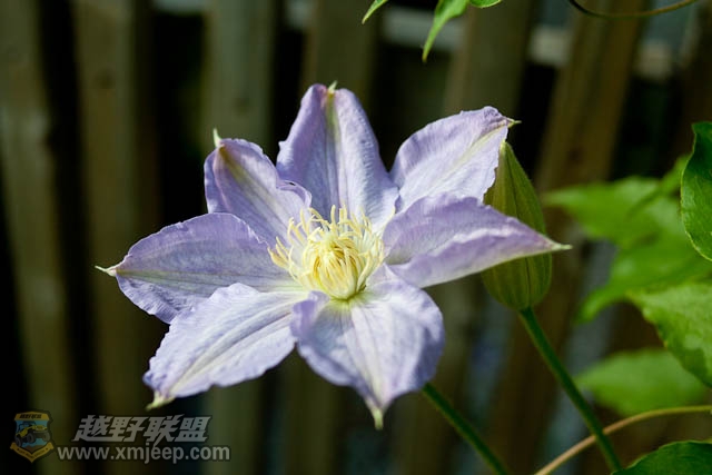20120526-0015.jpg