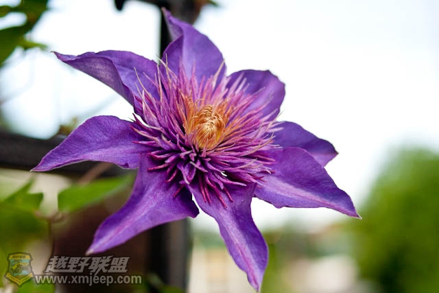 20120526-0016.jpg
