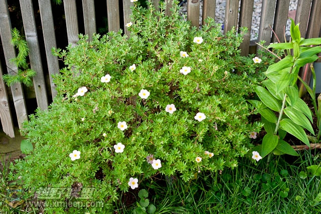20120526-0014.jpg