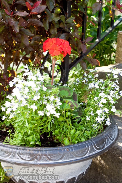 20120526-0010.jpg