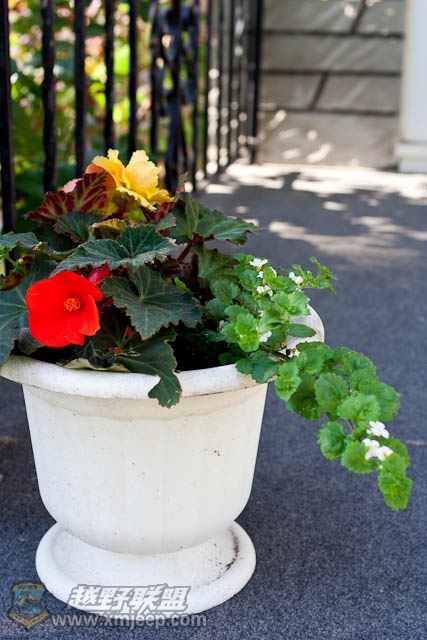 20120526-0025.jpg