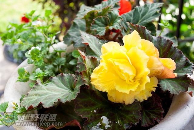 20120526-0011.jpg