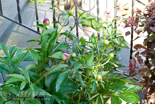 20120526-0024.jpg