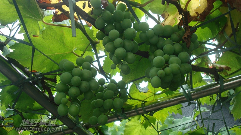 DSC09114_.jpg