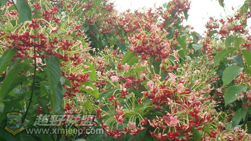 DSC09119__.jpg