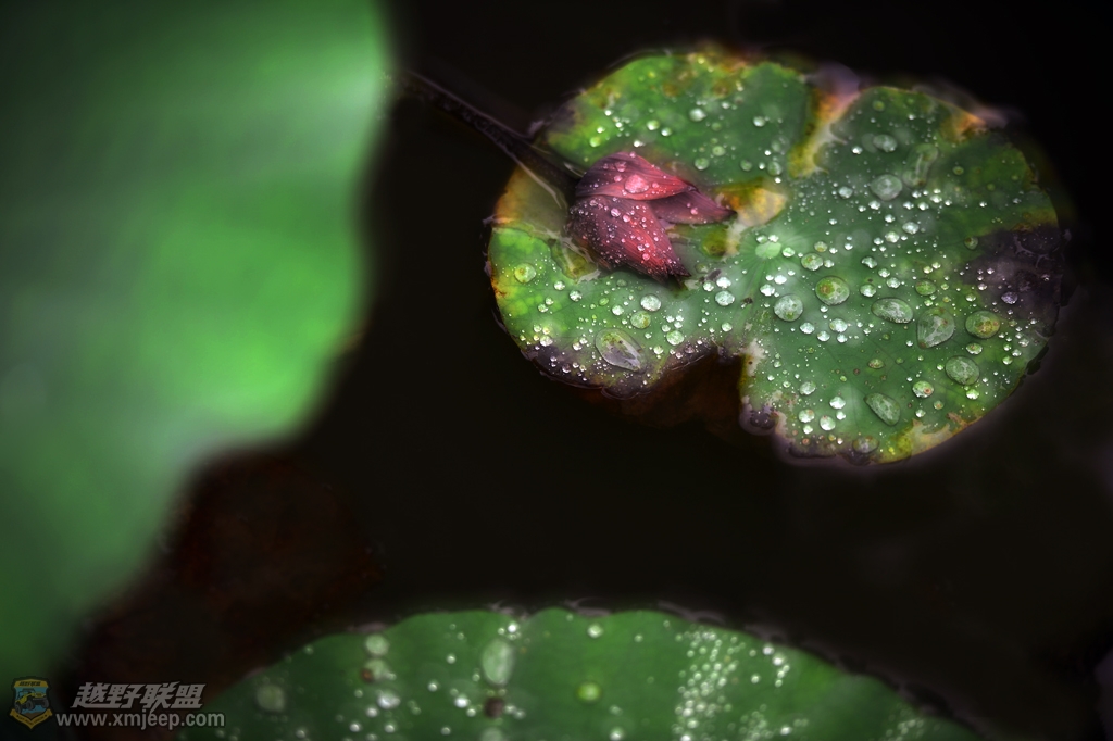 WJ0_1716.jpg