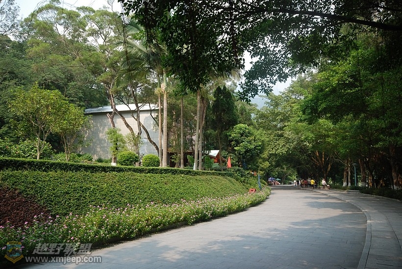 nEO_IMG_DSC_2165.jpg
