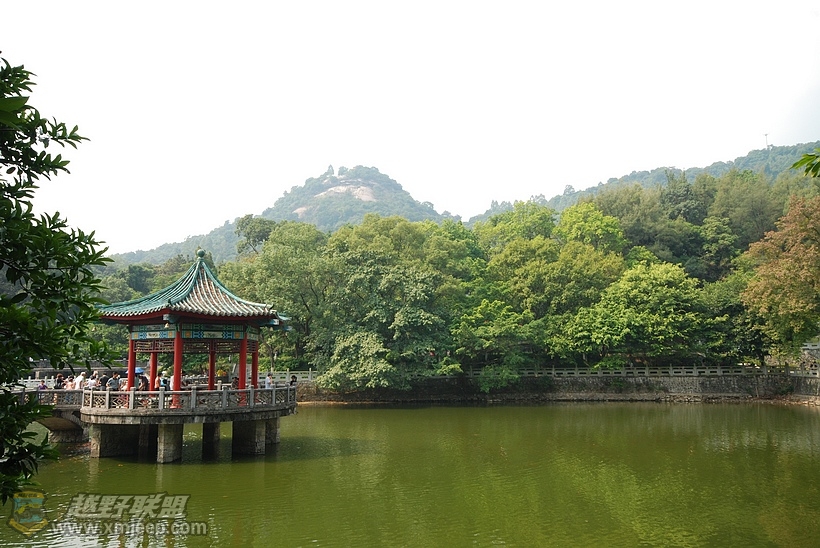 nEO_IMG_DSC_2181.jpg