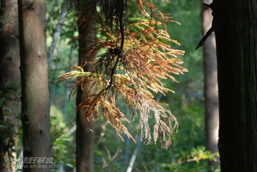 nEO_IMG_DSC_2862.jpg