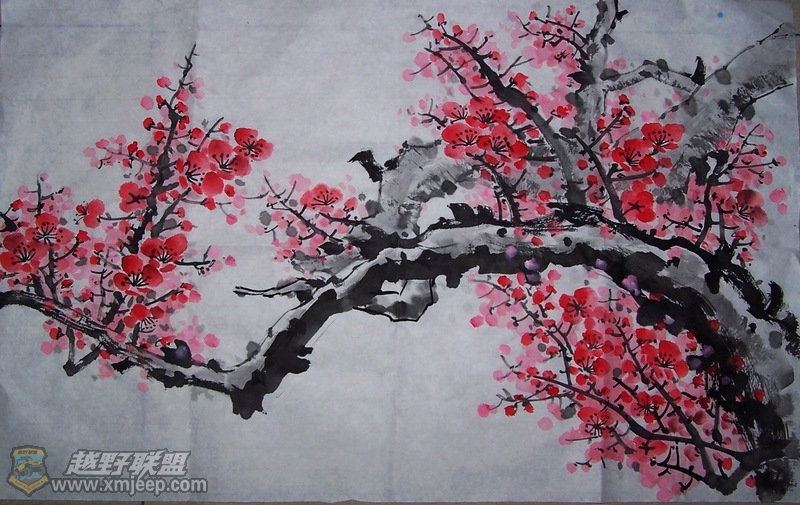 100_8528.JPG