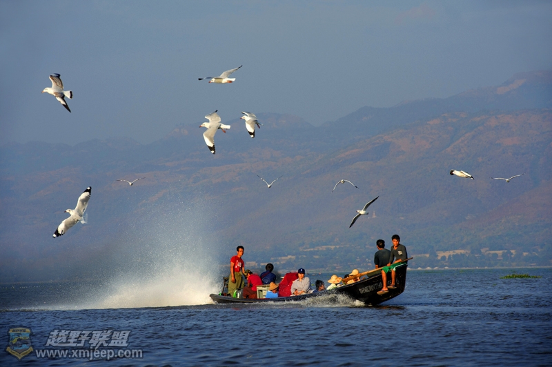 DSC_6373.jpg