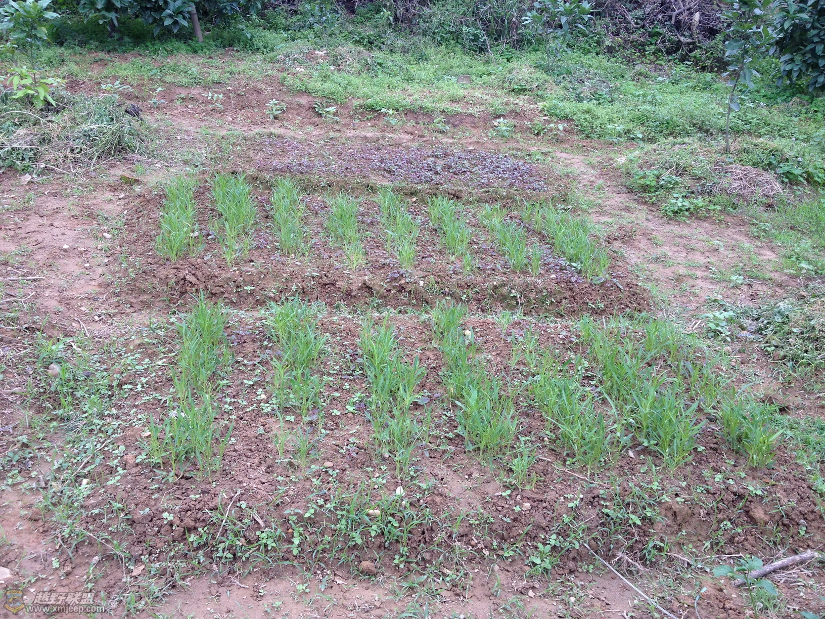 2013.4.27 054.JPG