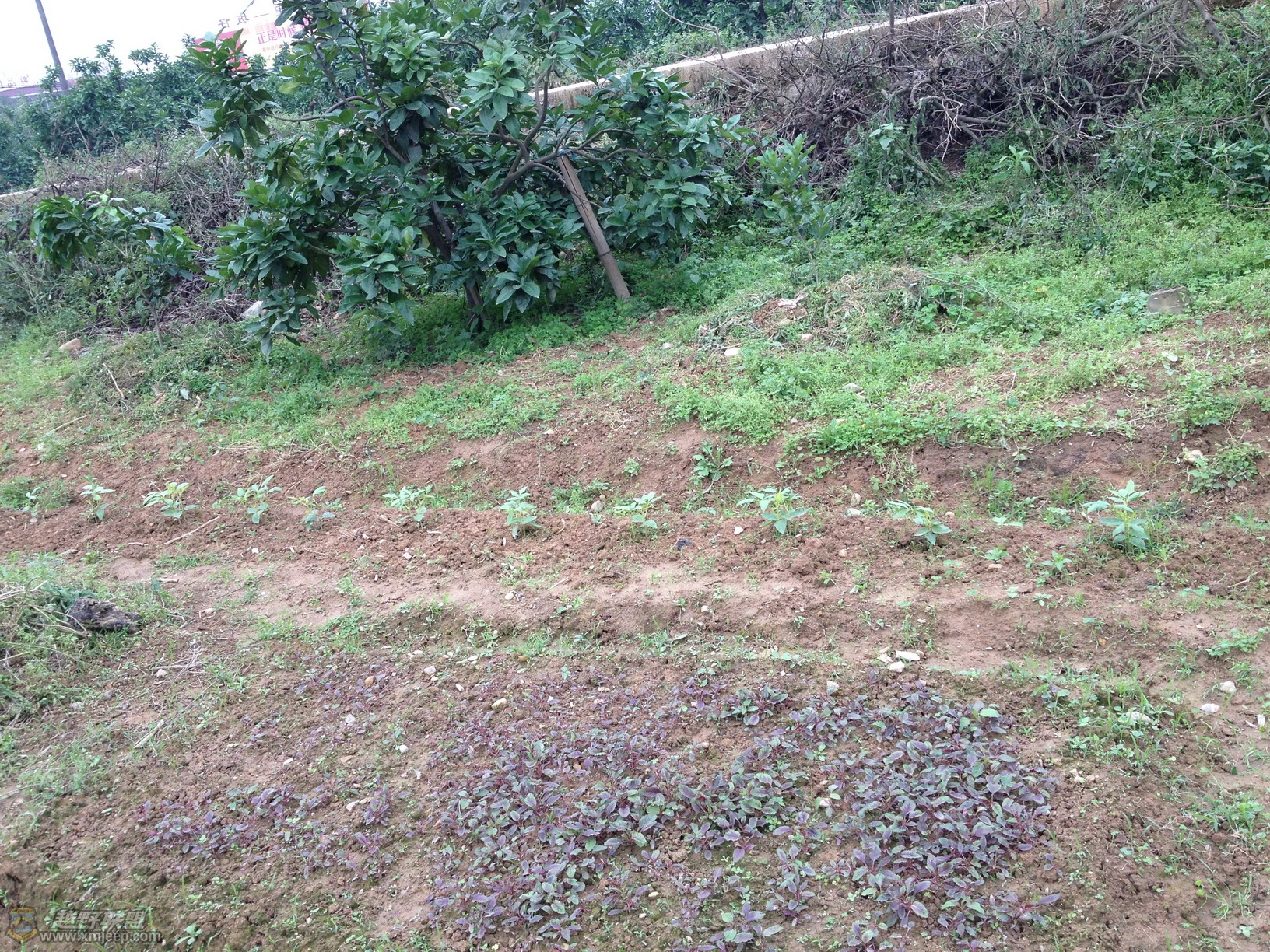 2013.4.27 055.JPG