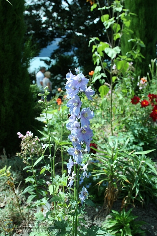 IMG_1784.jpg