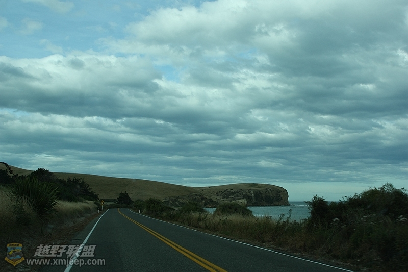 IMG_2537.jpg