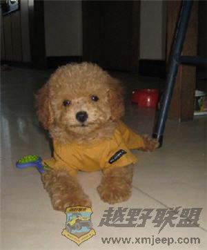 ŷ밲.jpg