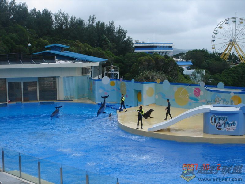 DSC09176_С.JPG