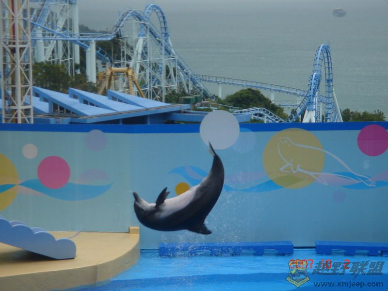DSC09207_С.JPG