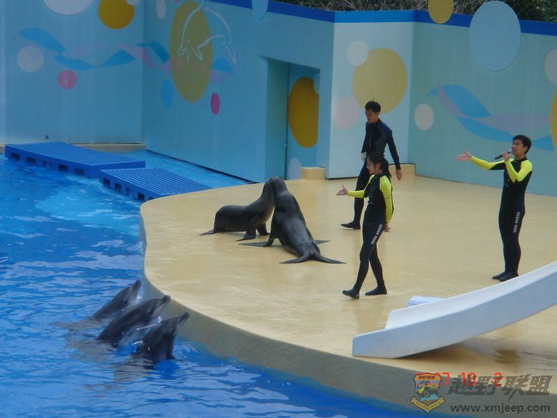 DSC09211_С.JPG