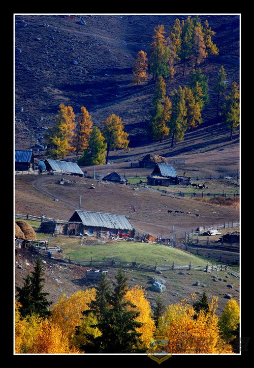 DSC_1750.jpg