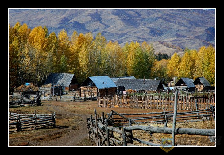 DSC_1775.jpg