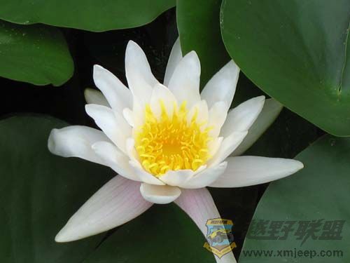 IMG_2929С.jpg