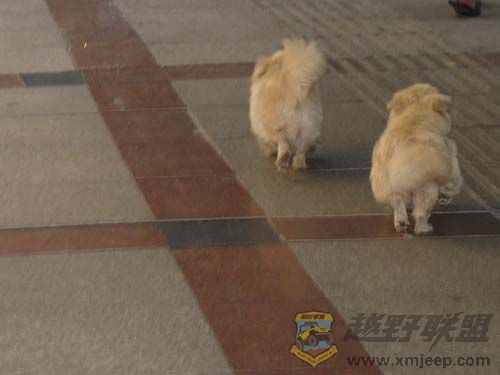 IMG_2959С.jpg