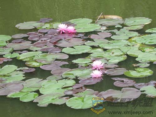 IMG_2974С.jpg