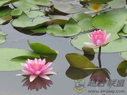 IMG_2979С.jpg