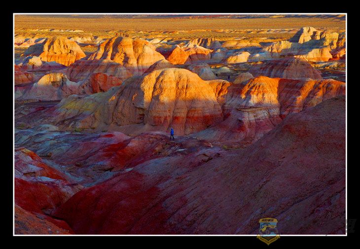 DSC_1938.jpg