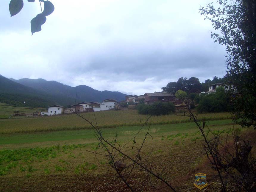 SV101836.jpg