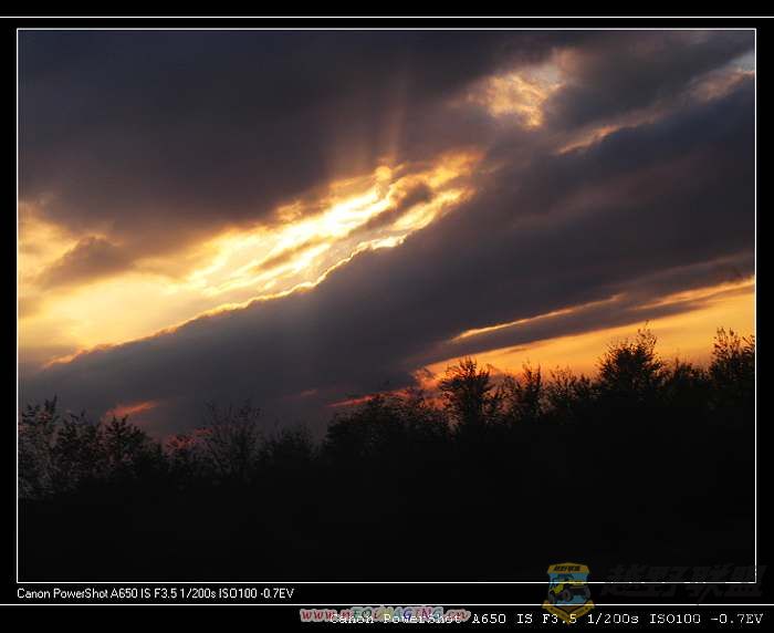 IMG_1181A.jpg