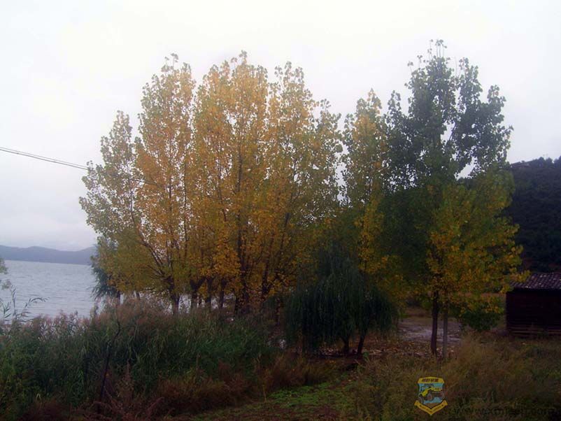 SV102067.jpg